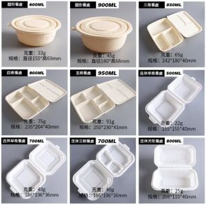 Take Away Fast Food, Compartment Packing Box, Containers, Starch Biodegradable,
