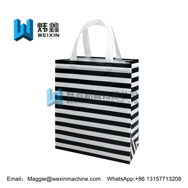 Buy Promotional Foldable Reusable Laminated Non Woven Bag 100gsm at wholesale prices
