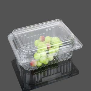 Transparent Big Clamshell Disposable Plastic Food Box