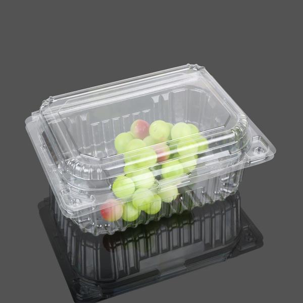 Buy Transparent Big Clamshell Disposable Plastic Food Box at wholesale prices