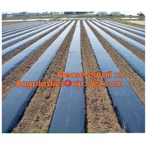 Agricultural Mulching Film Used for Fruit, Flower and Vegetable