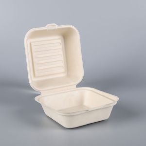Contenedor Fibra envases Biodegradable Disposable Sugarcane Bagasse Paper Bamboo
