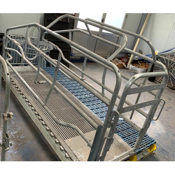 Adjustable Sow Joy Farrowing Crates With Plastic Slatted Flooring Long Using Time