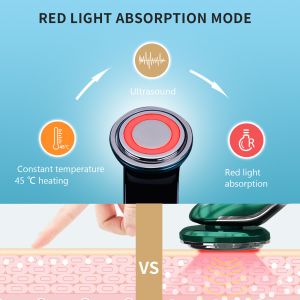 Deep Cleansing Absorption DC5V 700mAh Ion Facial Device