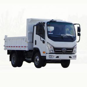 Quality C NJ 4X2 Dump Truck for sale