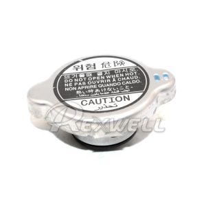 Stainless Steel Automobile Coolant Radiator Cap for Hyundai Accent 25330-17000