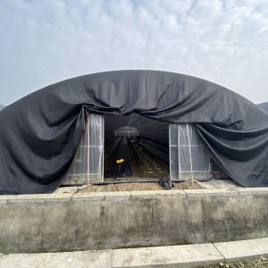 Side Ventilation Plastic Film Low Tunnel Greenhouse Single Span For Mushroom