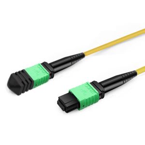 3m (10ft) 12 Fibers MPO Trunk Cable Female to Female OS2 9/125 Single Mode