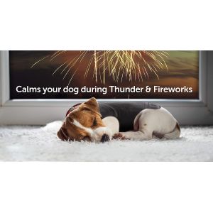 Anti Anxiety and Stress Relief Calming Coat for Dogs