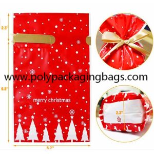 Biodegradable CPE Drawstring Christmas Gift Bags