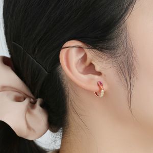 Rainbow Sterling Silver Jewelry Earrings