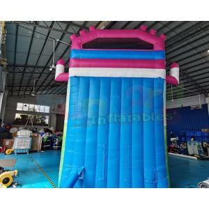 Children Commercial Inflatable Slide Playground Bouncy Castle