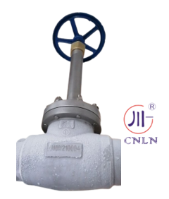 PN50 Cryogenic Globe Valve with 3/8''-4'' Size stainless steel globe valve for