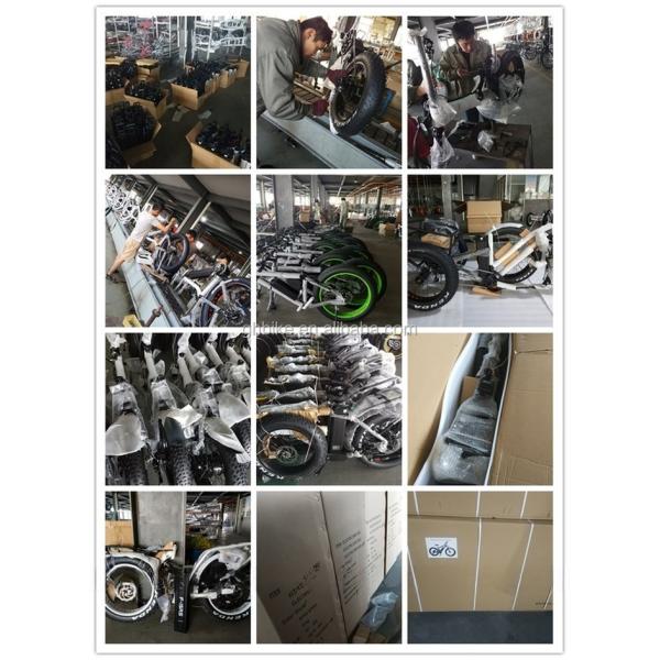 US Fat Tire Electric Passenger Tricycle with 1000W Bafang Motor and Aluminum Pedal