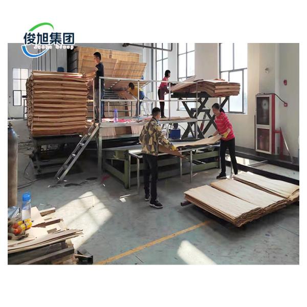 Buy Heavy Industry Fully Automatic Veneer Wood Wall Panel Sheet Desiccation at wholesale prices