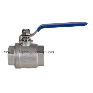 2 PC Full Port SS304 Ball Valve With Bule Handle 1/2 Inch NPT WOG1000