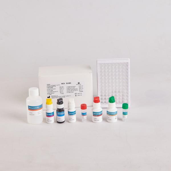 Buy Human PTH Elisa Kit/Human Parathyroid Hormone Elisa Kit for RUO with 96 Tests at wholesale prices