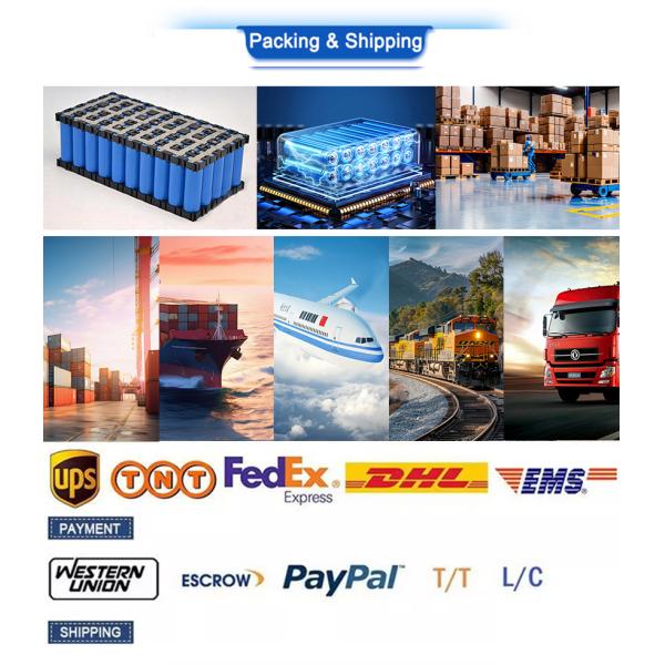 LiFePO4 Lithium Battery OEM ODM 36V 48V 60V 25AH Li-Ion Battery 60AH 100AH 120AH For E-Wheelchair/E-Motorcycle/E-Bike