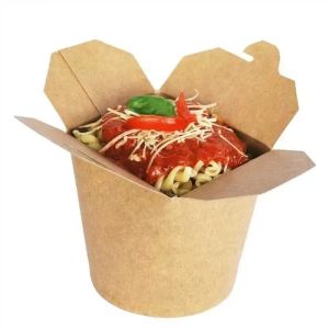 Noodle Box Packaging Hot Selling Compostable Takeout Noodle Boxes for Picnic Use