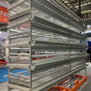 China 4m Poultry Chicken Cage on sale