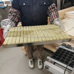 Vegetable Seedling Transplanting Machine with Pneumatic Sowing and 304 Stainless