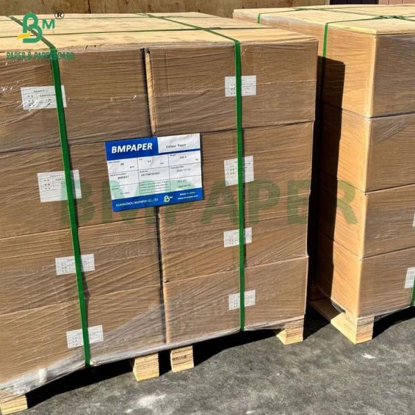 Food Grade Bleached Unbleached 40GSM 50GSM Coffee Filter Paper Roll 1200mm