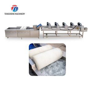 Fruits cleaning and drying production line Fruit Vegetable FOOD processing