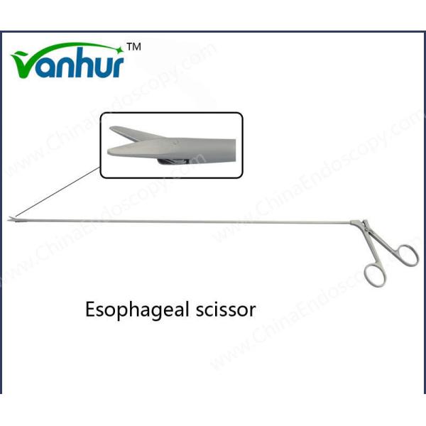 Adult Esophagoscopy Surgical Instruments with CE Certification and Esophageal