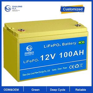 OEM ODM Lead Acid Replacement LiFePO4 Lithium Battery 12.8V 100AH 200AH