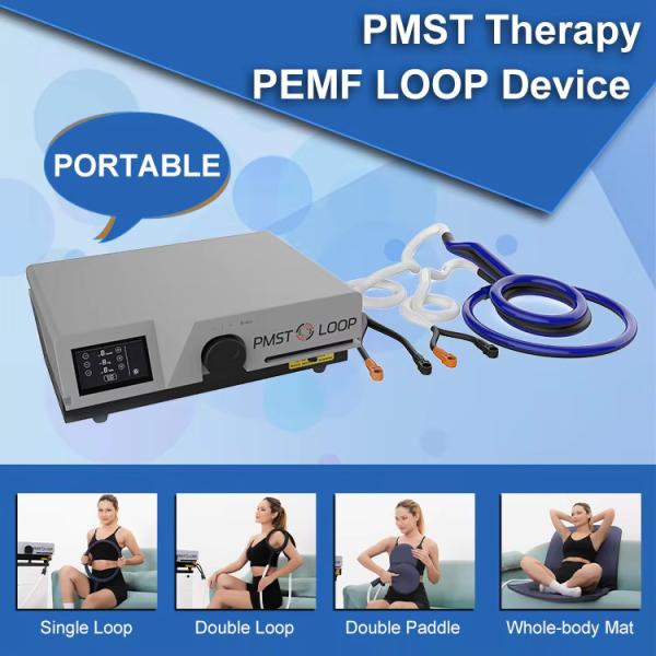 Pmst Loop Neo Pulse Electromagnetic Field Therapy Magneto Device