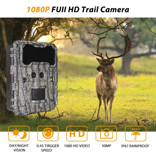 KW696 outdoor hunting camera dual-lens 30MP no-glow trail camera 1080p night