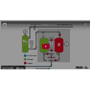 Quality The gas separation process in PSA nitrogen generators is based on the ability to fix various gas mixture components and particles by a physical solid for sale