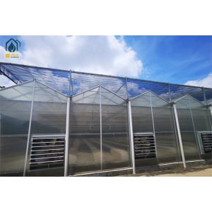 High Yield Farming Polycarbonate Greenhouse Fruit And Vegetable Greenhouse