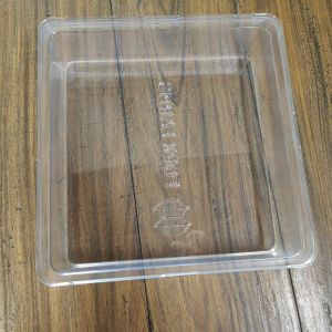 Customized reusable plastic PET white square plastic greenhouse hydroponic plant