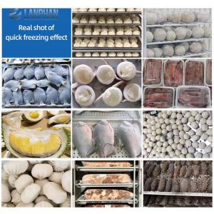 Commercial Kitchen Equipment Quick Freezer Shock Freezing Machine Blast Freezer
