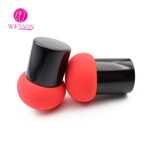 Wesson Makeup Egg Sponge