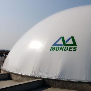 Digester Mounted Double Membrane Gas Holder Weatherproof Spherical Design