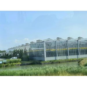 Transparent Glass Enclosed Plant Greenhouse Wind Resistance and Sustainability