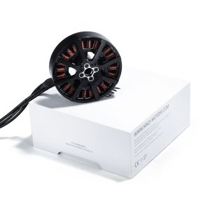 V8013 EEE V1.0 Brushless DC Motor