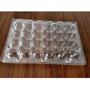 clamshell kiwi packing folding boxes