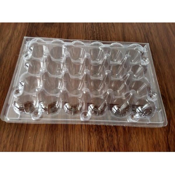Buy clamshell kiwi packing  folding boxes at wholesale prices