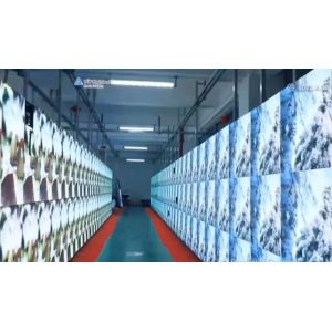 HK Brilliance International Technology Ltd.