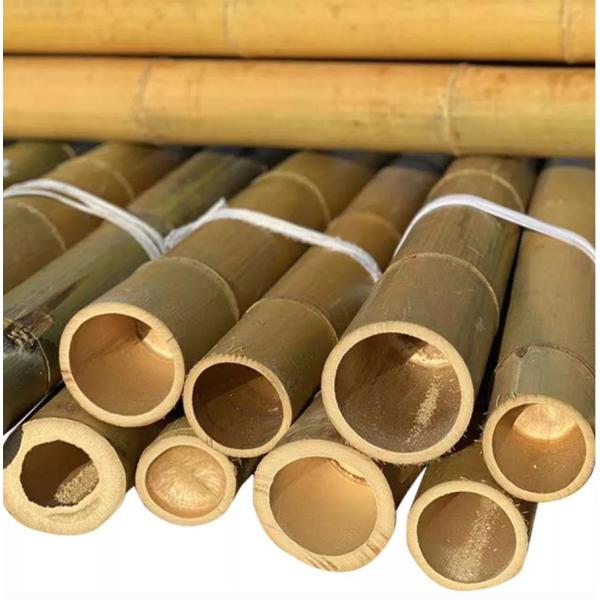 Buy Natural Bamboo Poles 40mm-140mm Diameter for Construction and Decoration at wholesale prices