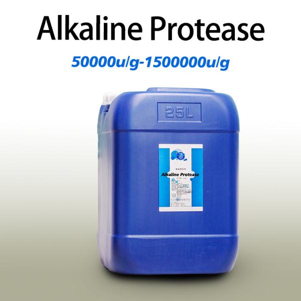 Buy Leather Industry Alkaline Protease Powder 37071 50000u/G-1500000u/G at wholesale prices