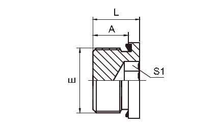 Hollow Hex Plug Bsp Adapters Fittings Male Captive Seal Equal Shape
