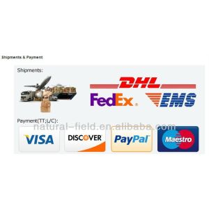 Direct manufacturer liver-protection Dihydromyricetin extract