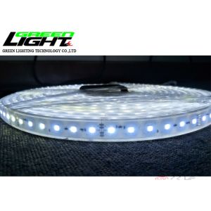 6500K Waterproof IP68 5M / Roll SMD5050 Led Rope Light