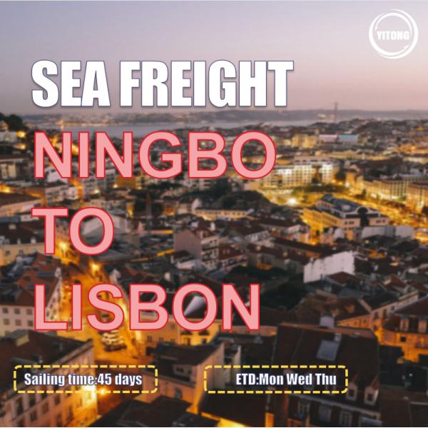 Cargo Global Sea Freight Logistics Ningbo To Lisbon Portugal Europe EMC ONE