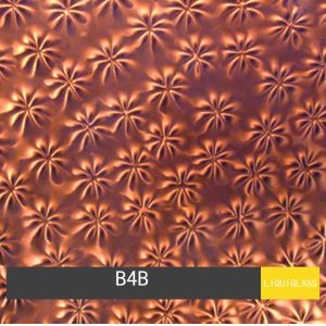 Dynamic Pattern Printed Laminated Glass 2440X1830MM