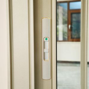 TOPSURE Tilt Glass 1.6mm Aluminum Casement Door
